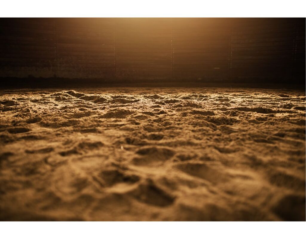 Arena dirt in a horse show pen for an AQHA World Show Junior Reining mindset breakdown