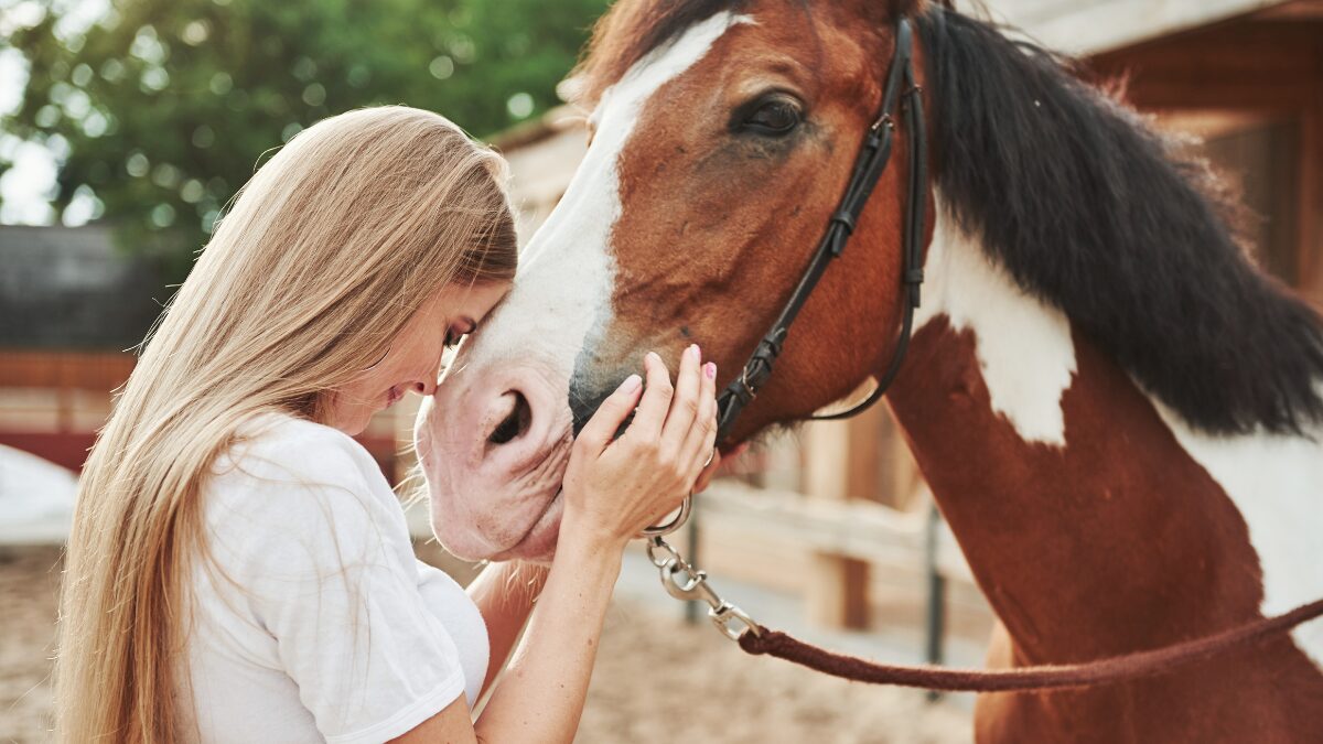 things to do with your horse besides competing