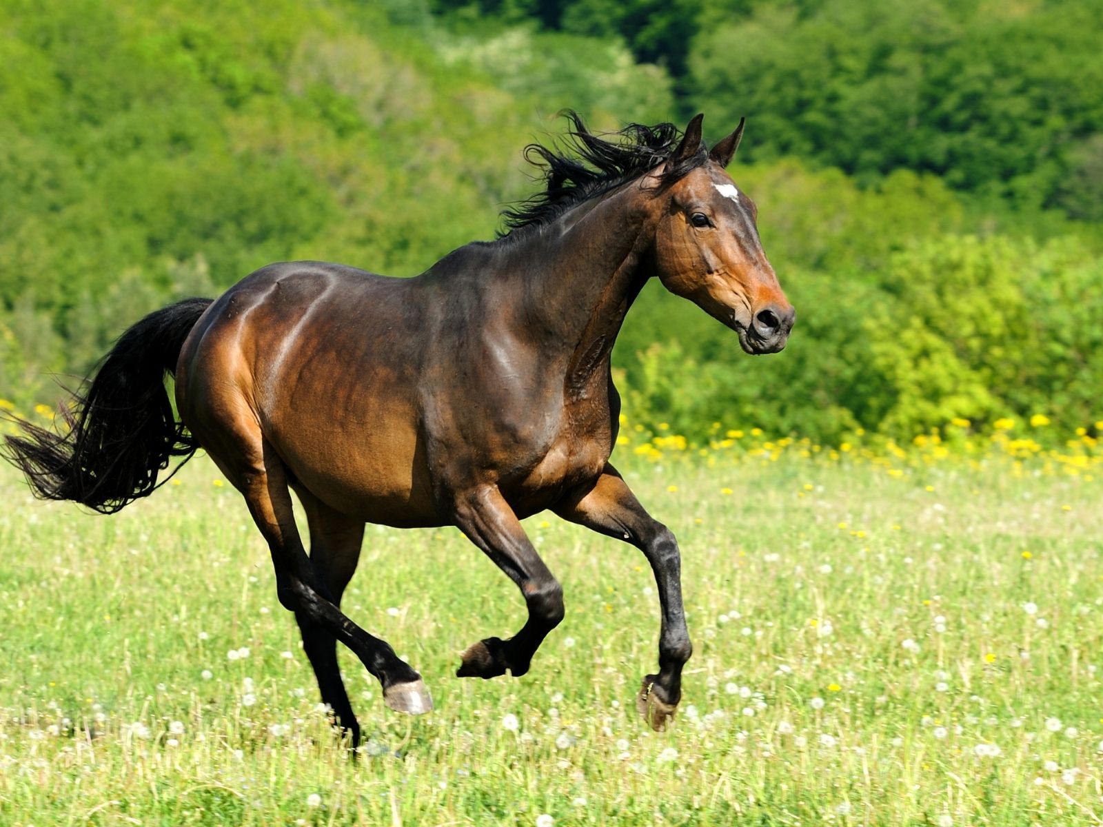 can riding less make you a better rider?