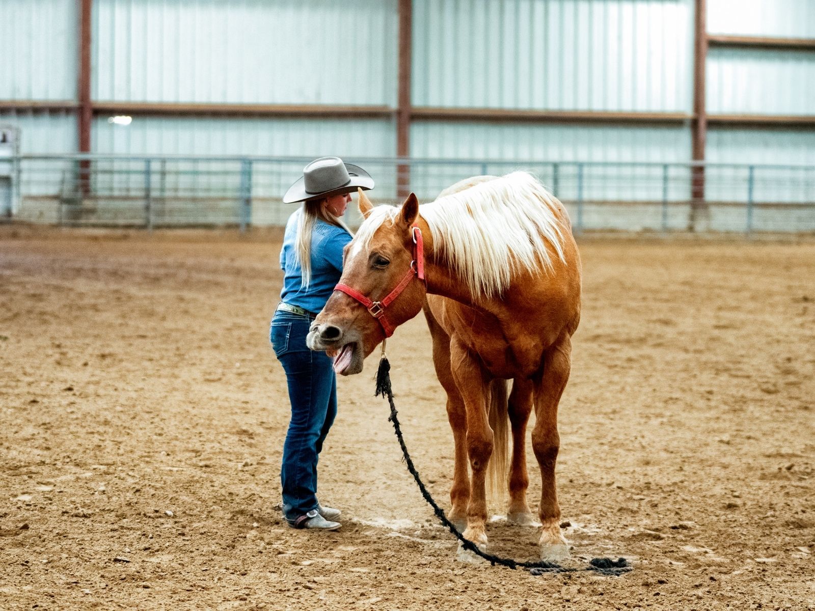 how to get your horse to respond to you with these tips