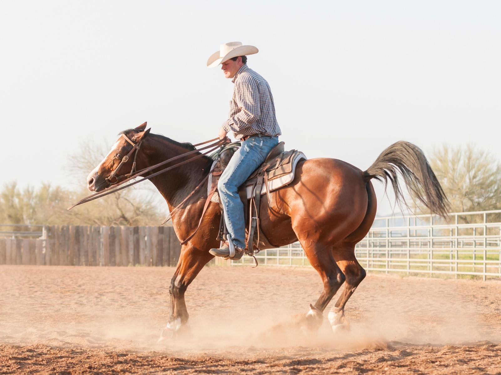 stop overspin penalties in reining with these tips