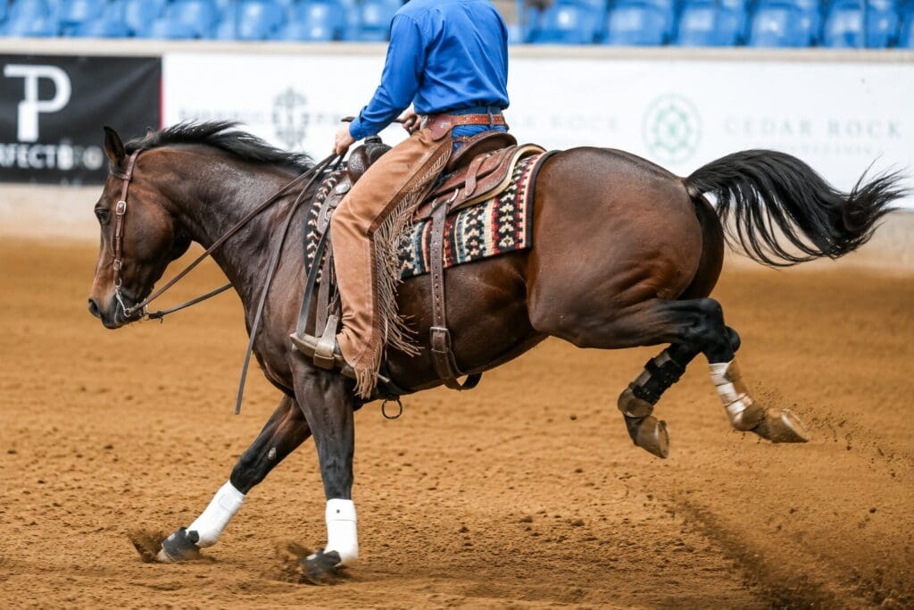 Horse Lead Change Problem