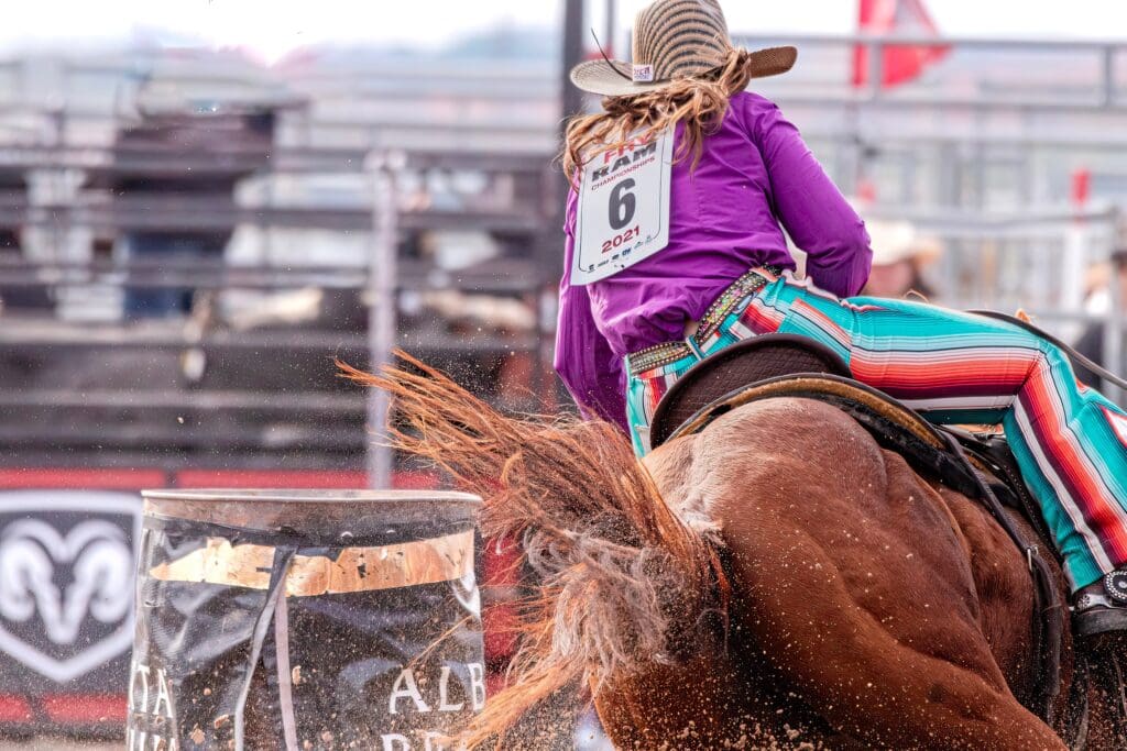 get your horse to respond to you